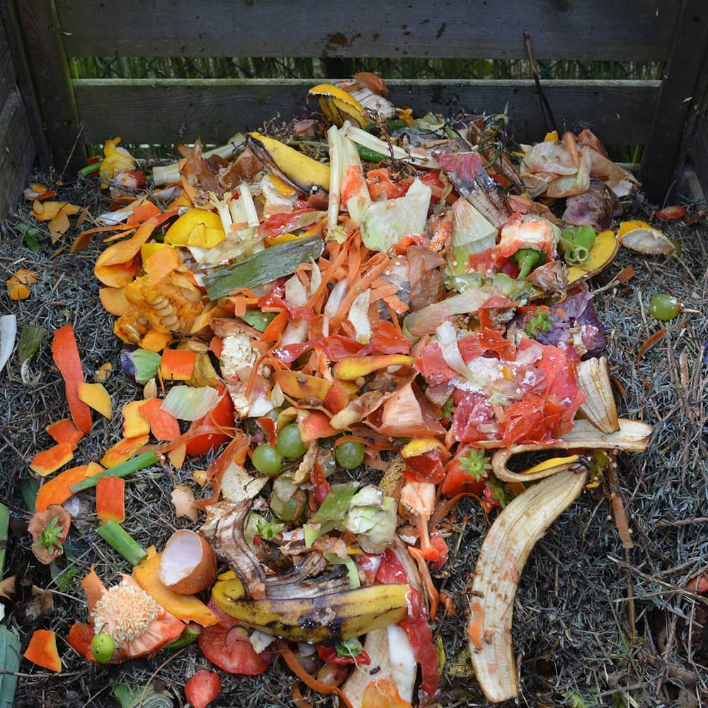 Composting & Saplings